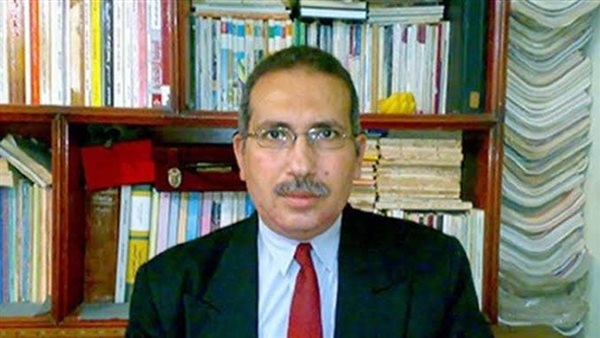 عادل عامر ، الخبير الاقتصادي